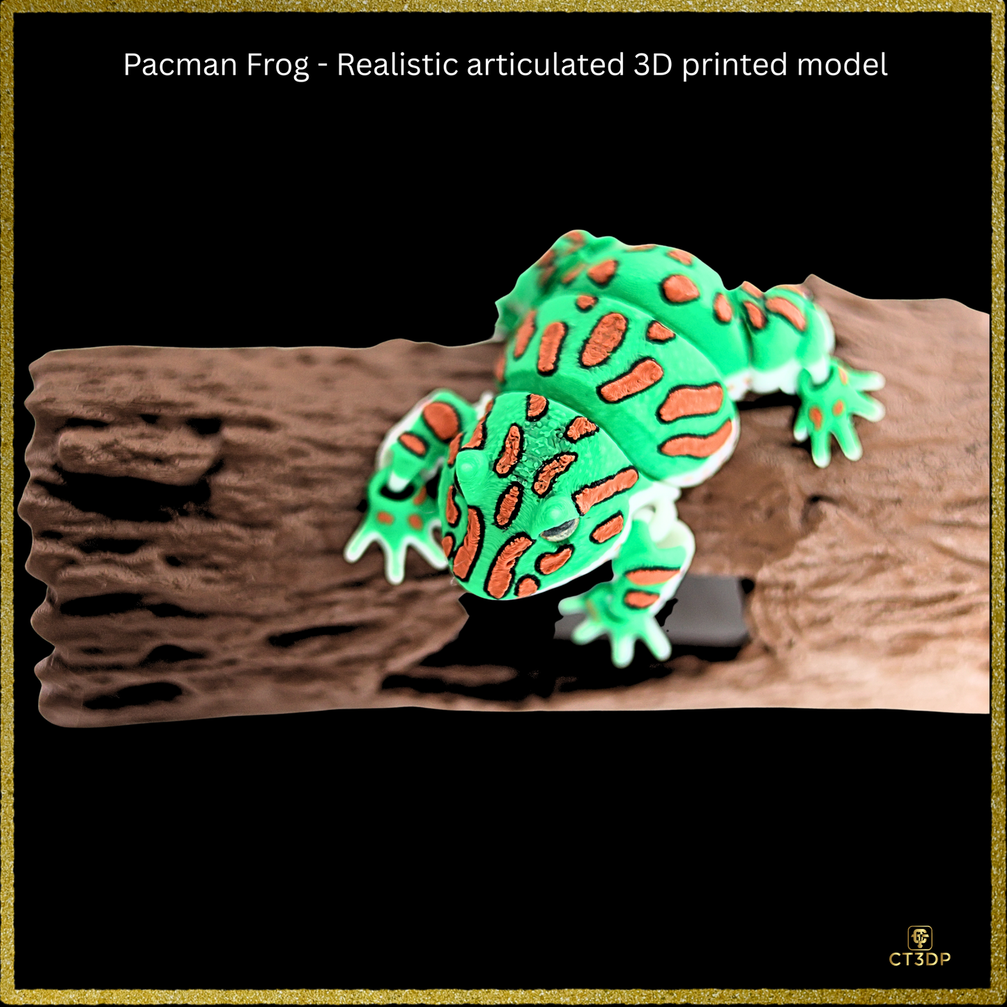 Realistic Filament Pac Man Tree Frog
