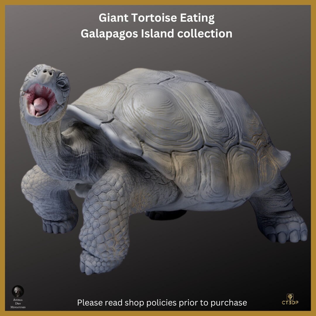 Galapagos Giant Tortoise Miniature: Ancient Reptile Model-Eating
