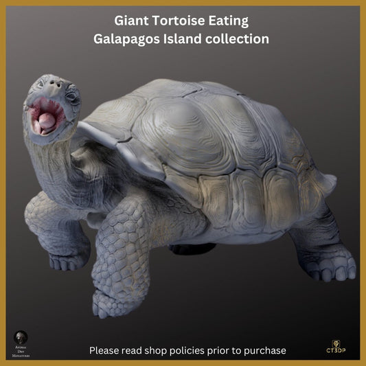 Galapagos Giant Tortoise Miniature: Ancient Reptile Model-Eating