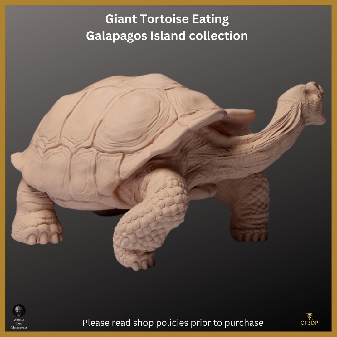 Galapagos Giant Tortoise Miniature: Ancient Reptile Model-Eating