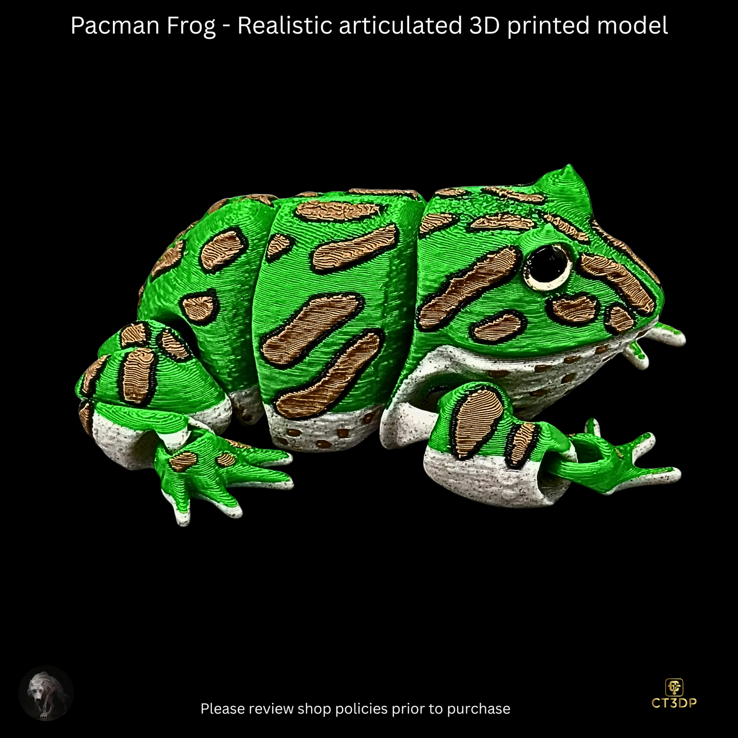 Realistic Filament Pac Man Tree Frog