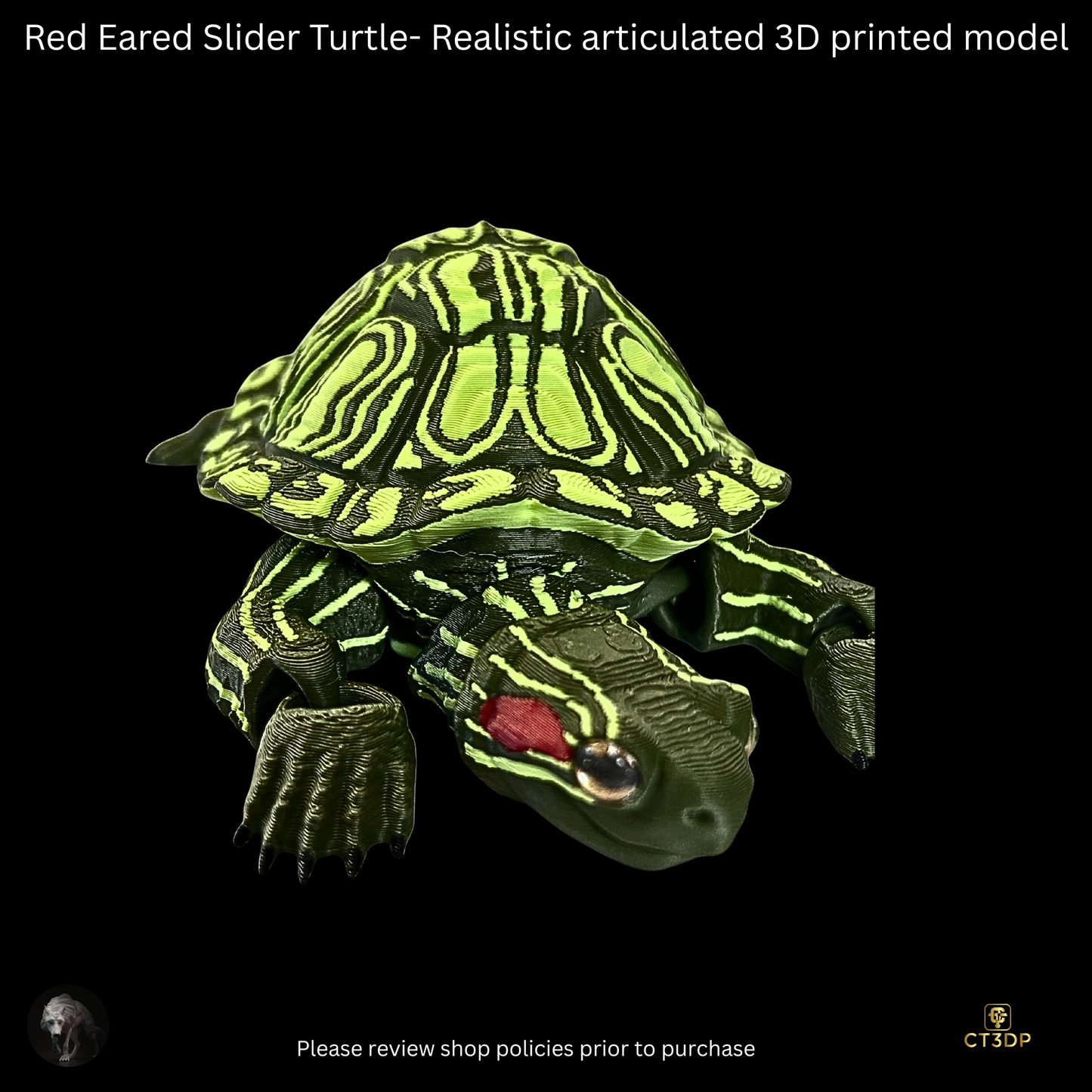 Realistic Filament Red Eared Slider Turtle