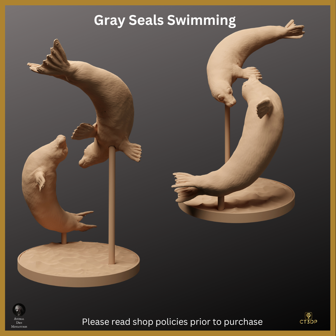Grey Seals Swimming - Detailed Resin Print