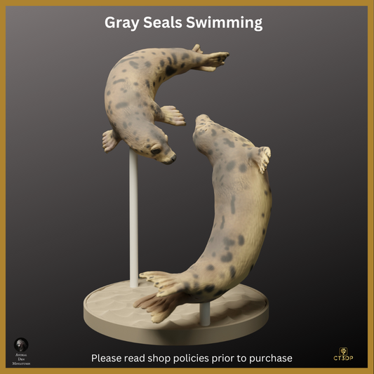 Grey Seals Swimming - Detailed Resin Print