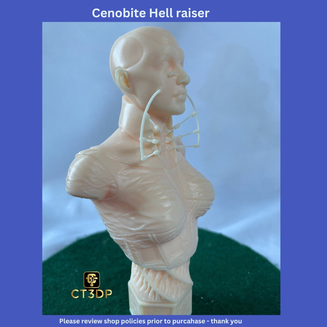 Cenobite hellraiser by Hex3D- great model to paint in time for Halloween:-)