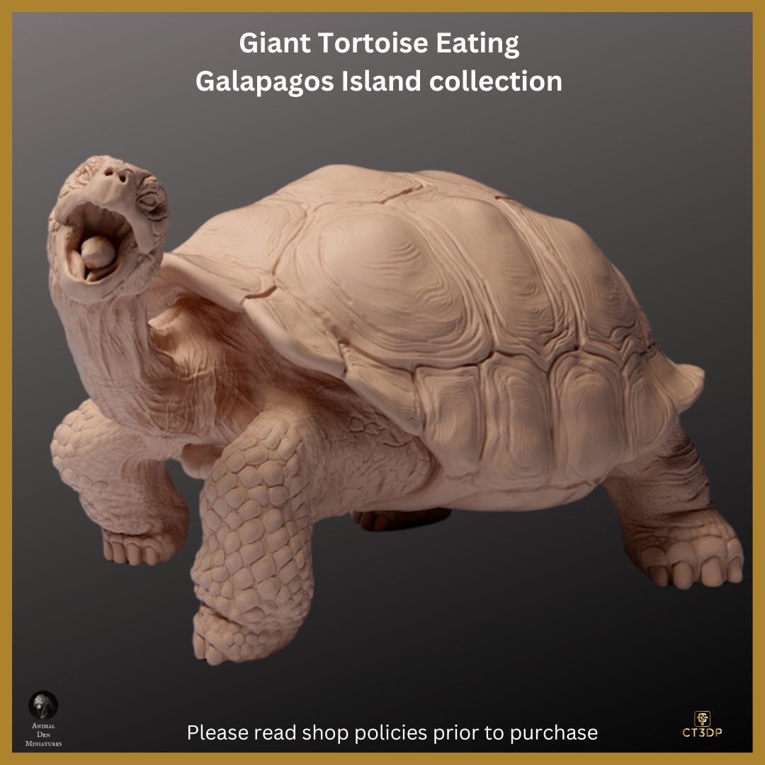Galapagos Giant Tortoise Miniature: Ancient Reptile Model-Eating