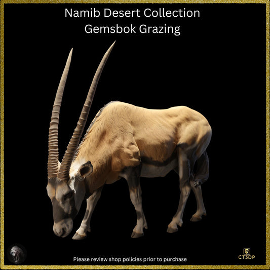 The Gemsbok from the Namib Desert Collection- Grazing