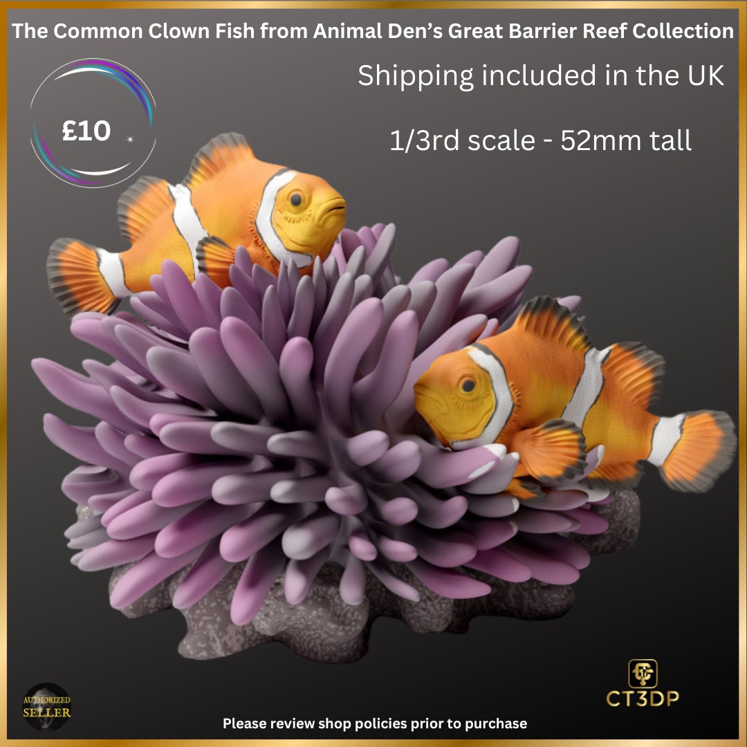 The Common Clown Fish from the Great Barrier Reef collection by Animal Den Miniatures- Superb detail