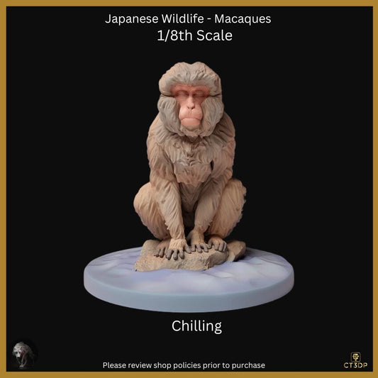 Japanese Wildlife Collection- The Macaque Walking and Chilling- full of mischief and fun. Chilling-monkey-macaque-wild-snow monkey