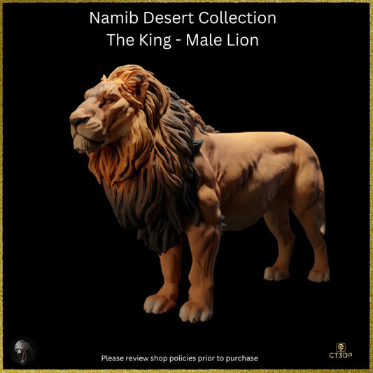 The King is here-From the Namid Desert Collection comes the King of Kings