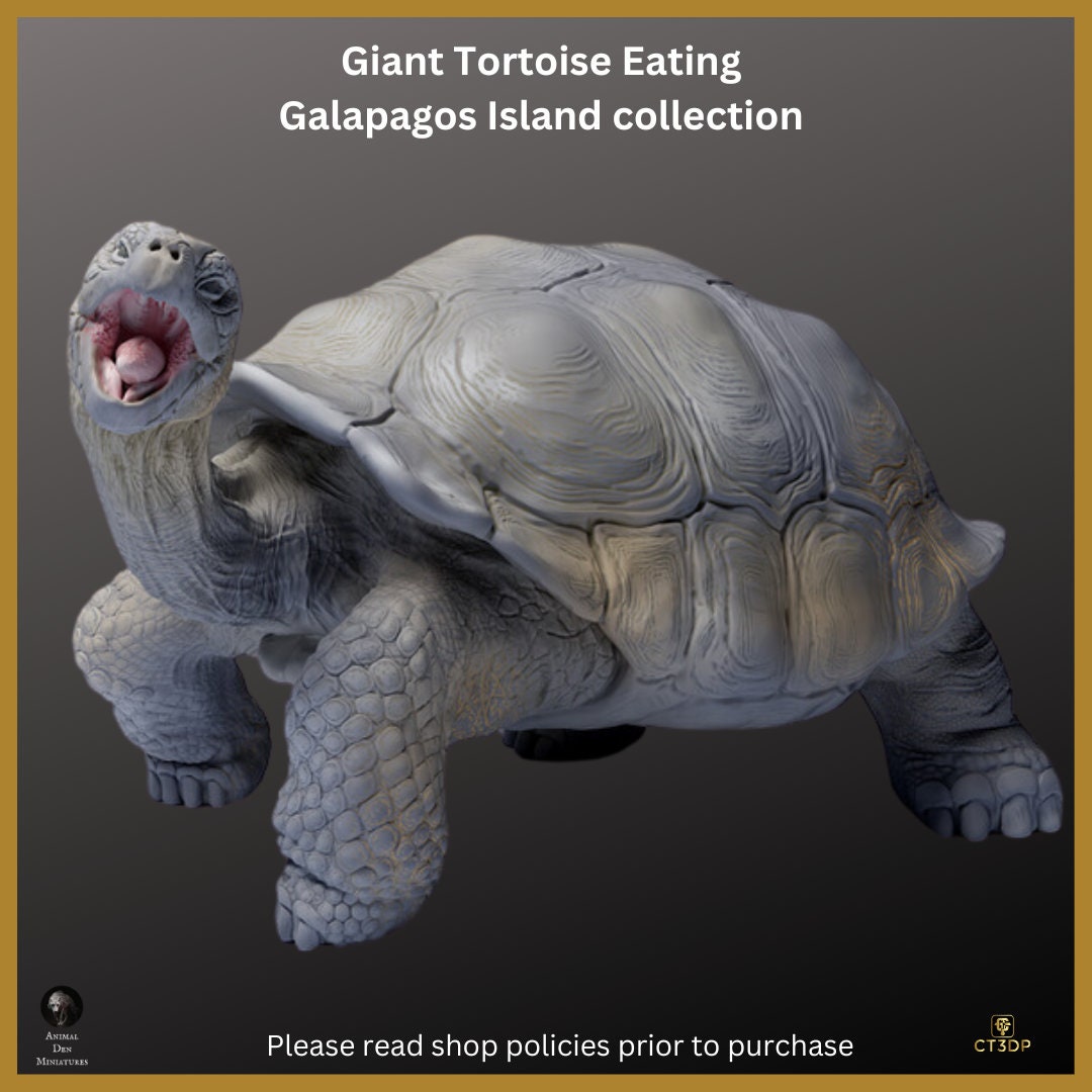 Galapagos Giant Tortoise Miniature: Ancient Reptile Model-Eating