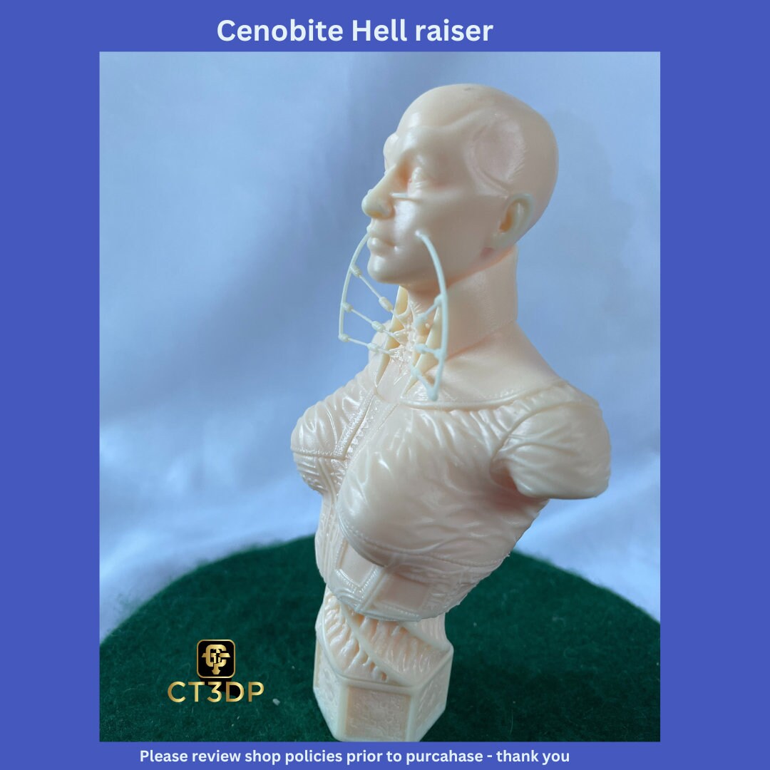 Cenobite hellraiser by Hex3D- great model to paint in time for Halloween:-)