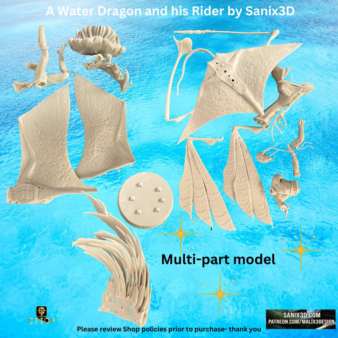 3D Printed Water Dragon and Rider Model by Sanix3D
