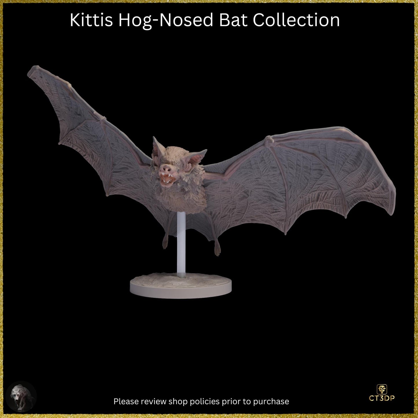 Kittis Hog-Nosed Bat Life-Sized 3D Resin Print