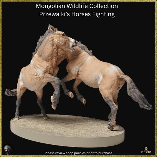 From the Mongolian Wildlife collection comes this amazing set of two Przewalski stallions fighting. Awesome detail.