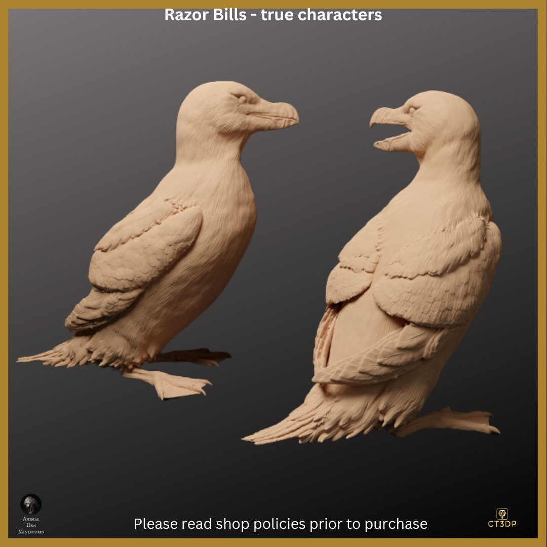 Razor Bills - Birds of real character - 1/8th scale
