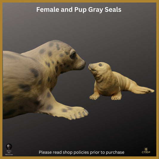 Gray Seal Mother and Pup Miniature: 1/24 Scale Wild Animal Model