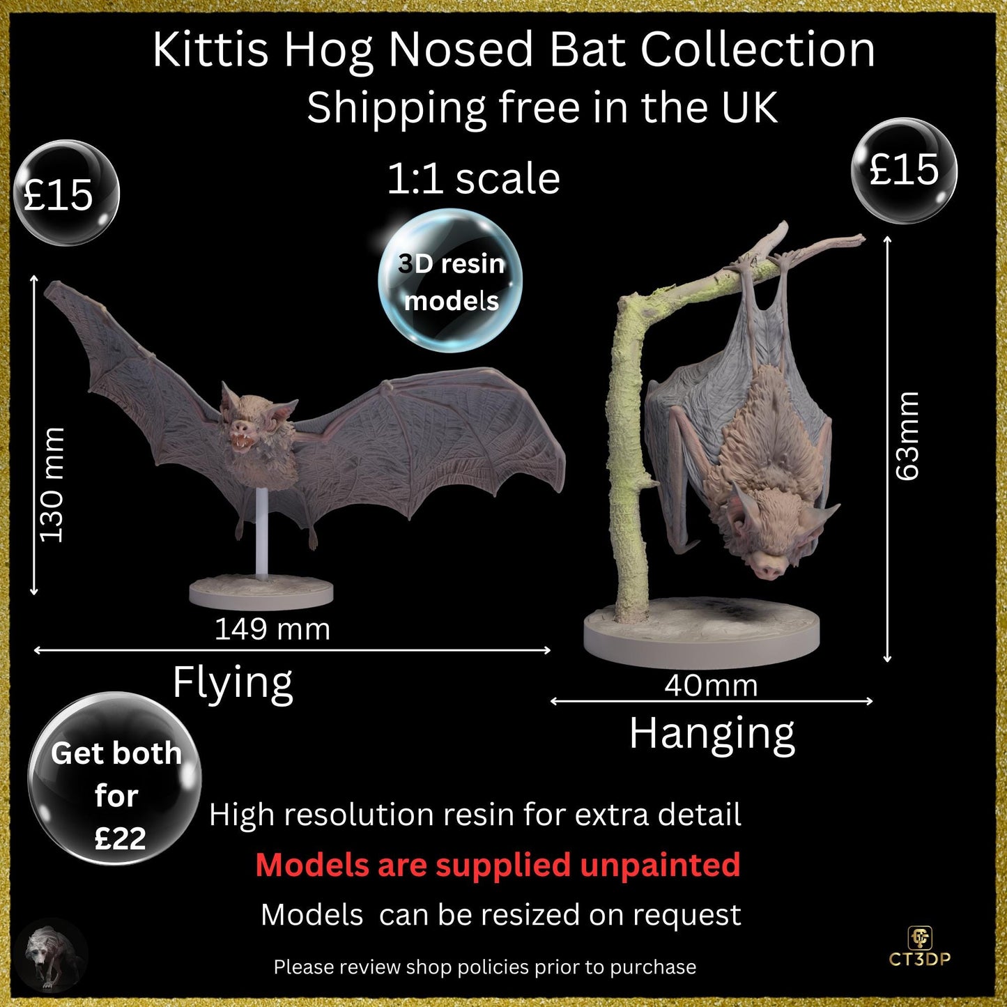 Kittis Hog-Nosed Bat Life-Sized 3D Resin Print