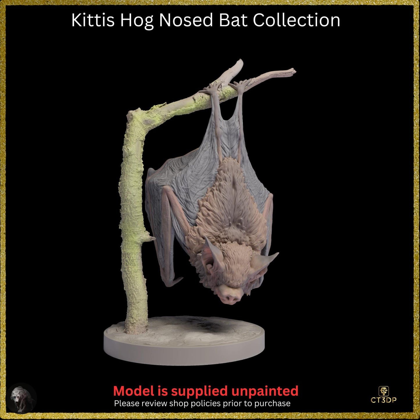 Kittis Hog-Nosed Bat Life-Sized 3D Resin Print