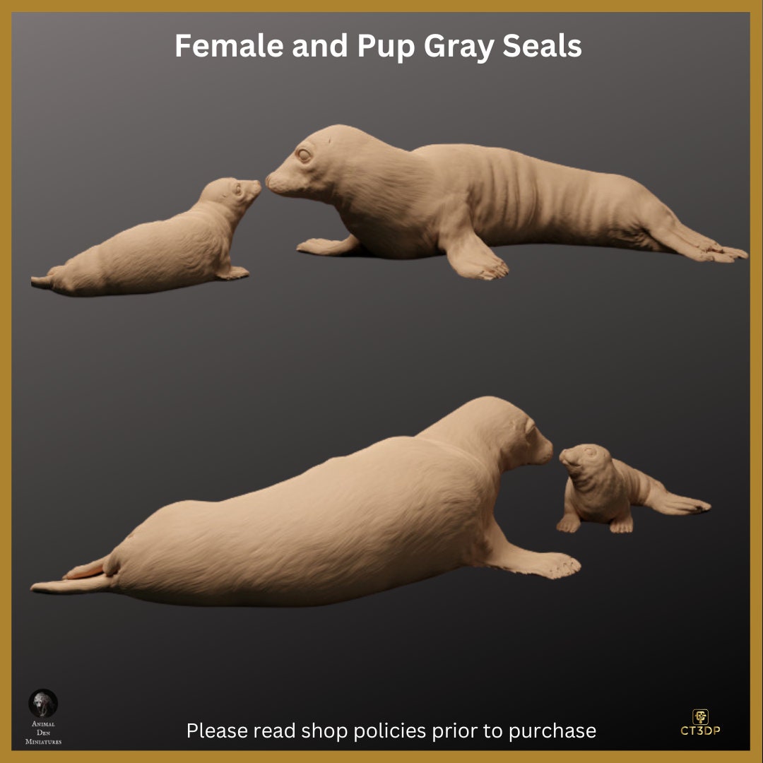 Gray Seal Mother and Pup Miniature: 1/24 Scale Wild Animal Model