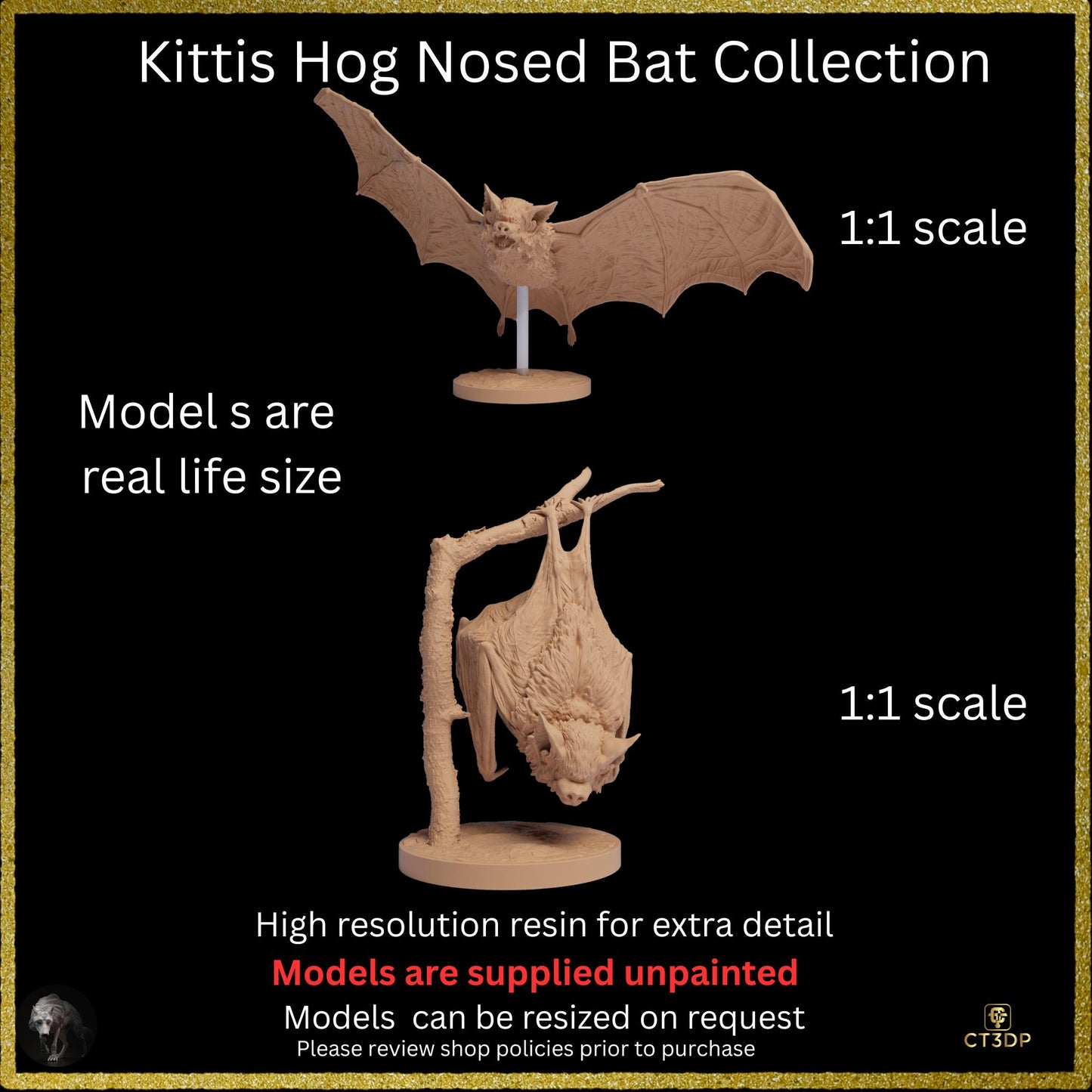 Kittis Hog-Nosed Bat Life-Sized 3D Resin Print