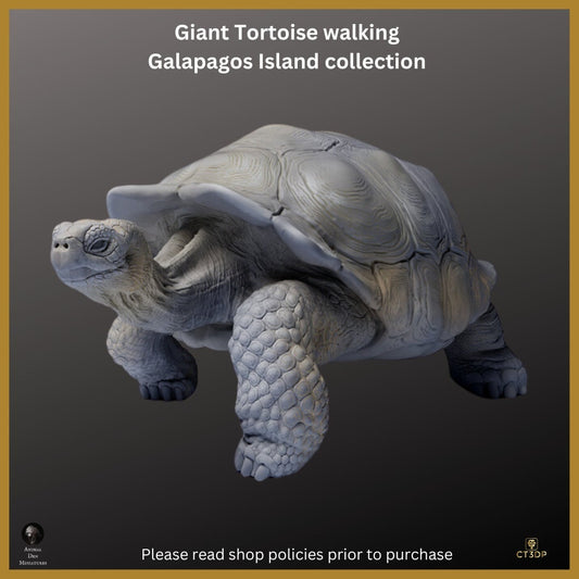 Galapagos Islands Collection - The Giant Tortoise Walking- Magnificent and ancient and Iconic