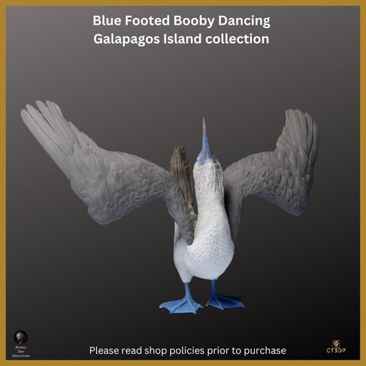 Blue Footed Booby Miniature: Galapagos Island Collection, Dancing Model